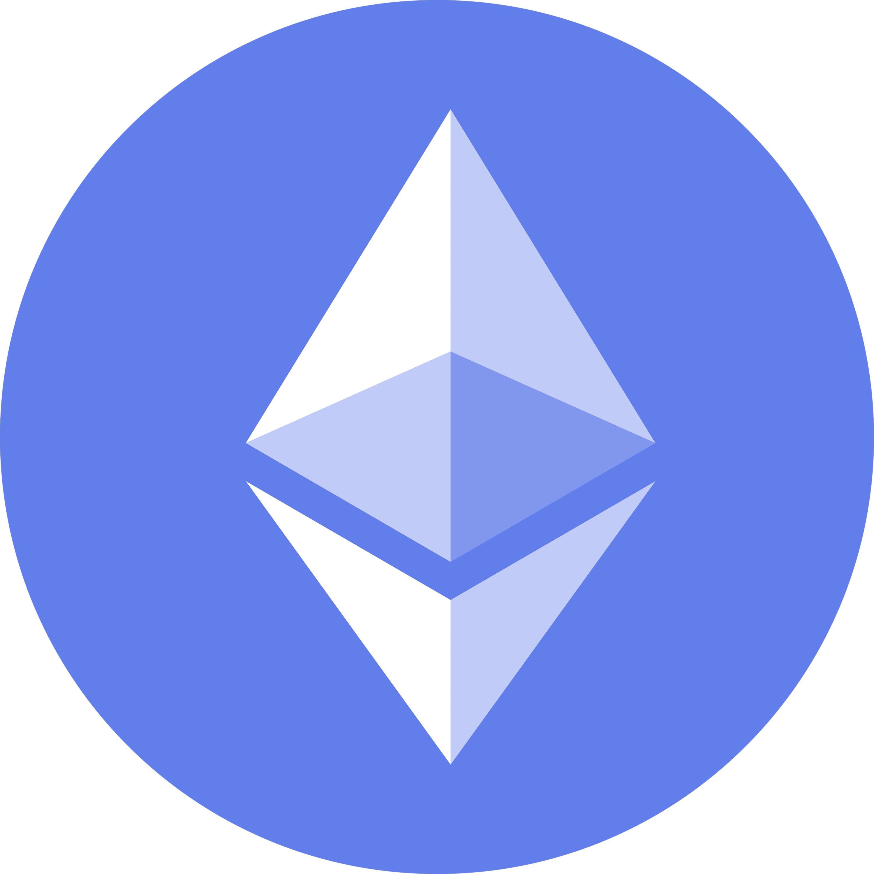 Bitcoin Icon